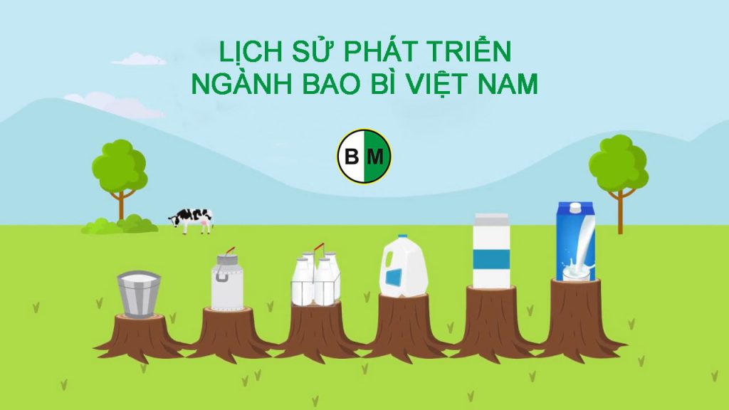 lich-su-phat-trien-cua-nganh-bao-bi-viet-nam